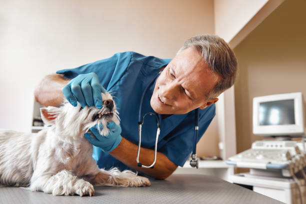 Best Emergency Root Canal Therapy in Wadesboro, NC